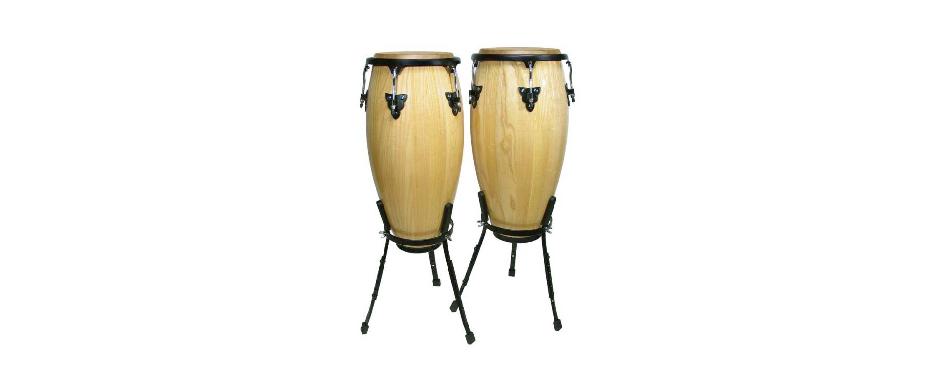 Conga