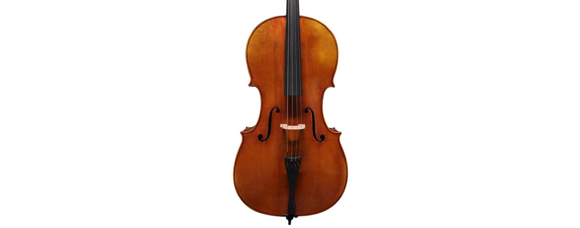 Violoncella