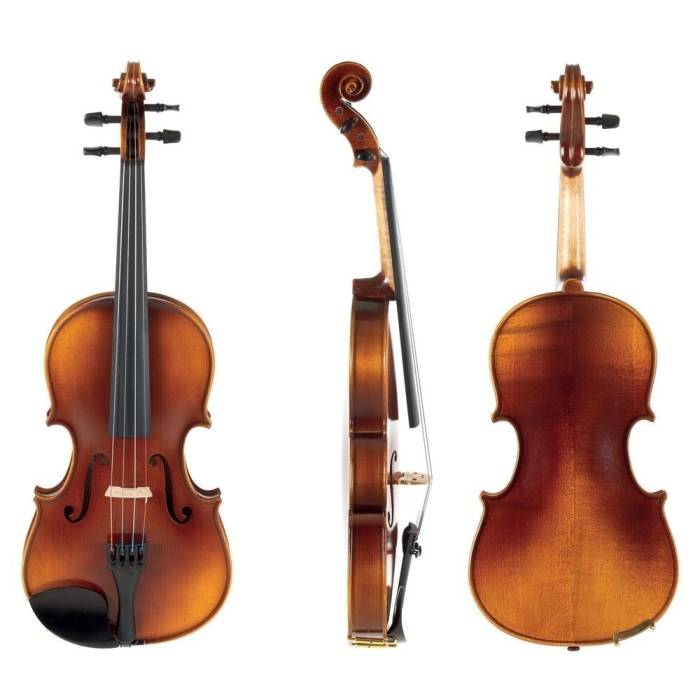 Housle: GEWA GS4000522221 Housle Allegro-VL1 Housle Allegro-VL1 GEWA GS4000522221