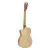 Resofonická kytara Royall Single Cone BB14C/FL - 2