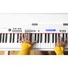 Digitální piano Alesis Virtue AHP-1W - 11
