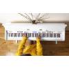 Digitální piano Alesis Virtue AHP-1W - 12