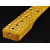 Krk pro Telecaster® Allparts TMNFFAT - 3