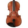 Viola 16.5