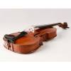 Viola 16.5