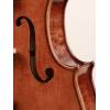 Viola 16.5