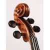 Viola 14