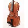 Viola 14