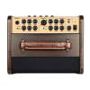Kombo na elektroakustické nástroje Richwood RPF-65 - 2