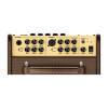 Kombo na elektroakustické nástroje Richwood RPF-65 - 3