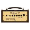 Kombo na elektroakustické nástroje Richwood RPF-65 - 4