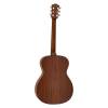 Akustická kytara auditorium Richwood All Solid Master A-220 - 2