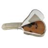 Akustická kytara auditorium Richwood All Solid Master A-250 - 11
