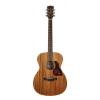 Akustická kytara auditorium Richwood All Solid Master A-250 - 3