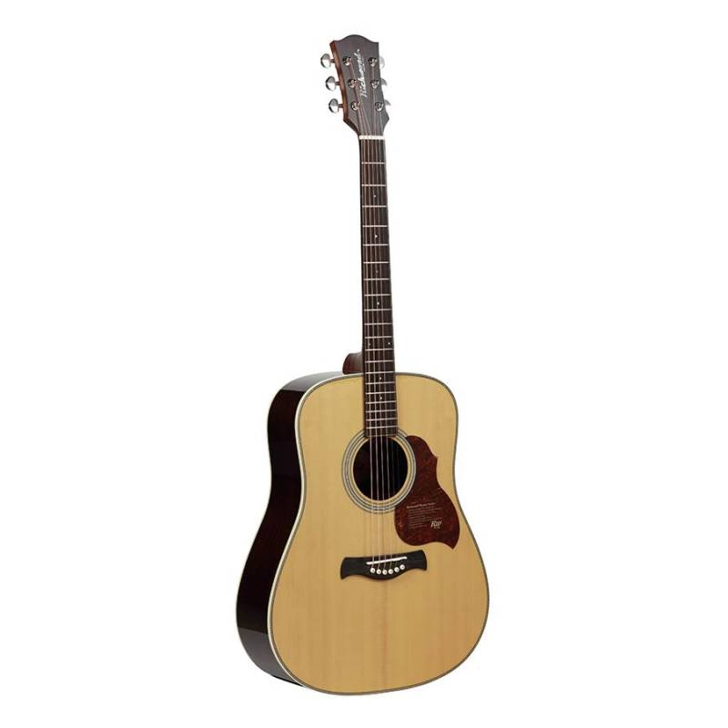 Akustická kytara dreadnought Richwood All Solid Master D-265-VA - 1