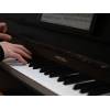 Digitální piano Medeli Forte UP605/BK - 10