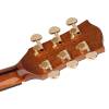Elektroakustická kytara Richwood Astist RG-27-CE - 9