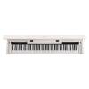 Digitální kompaktní piano - vystavený kus Medeli Andromeda CP203/WH/B - 7