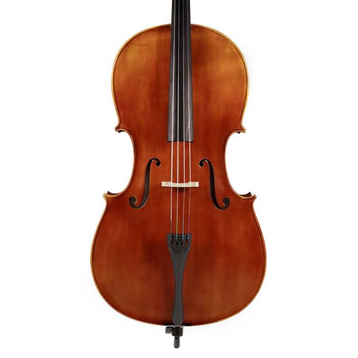 Violoncella: Rudolph RC-1034 Violoncello 3/4 Violoncello 3/4 Rudolph RC-1034