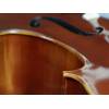 Violoncello 3/4 Rudolph RC-1034 - 2