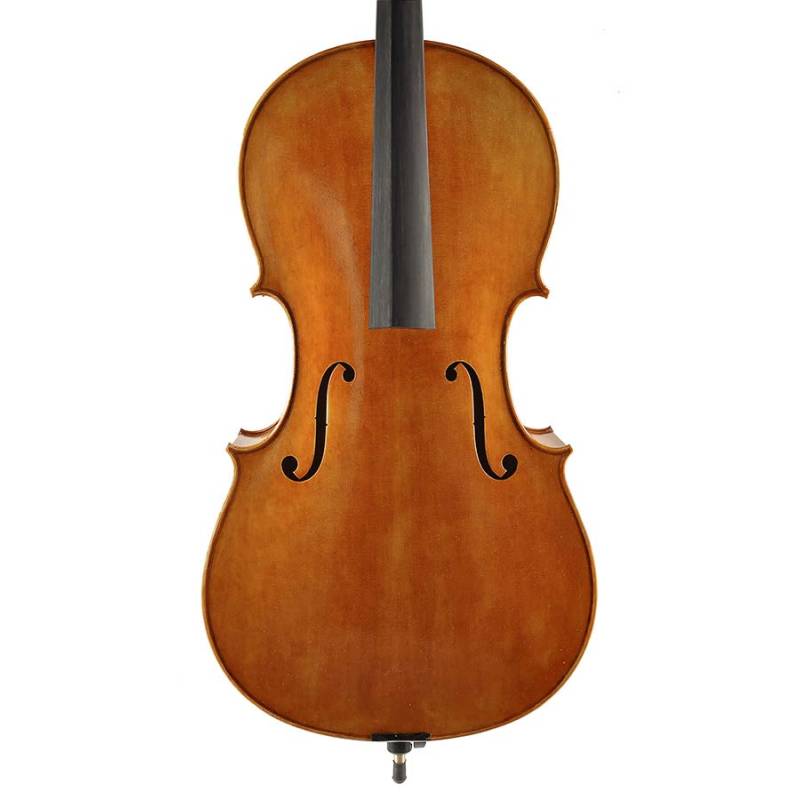 Violoncello 4/4 Rudolph RC-2044 - 1