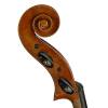 Violoncello 4/4 Rudolph RC-2044 - 3