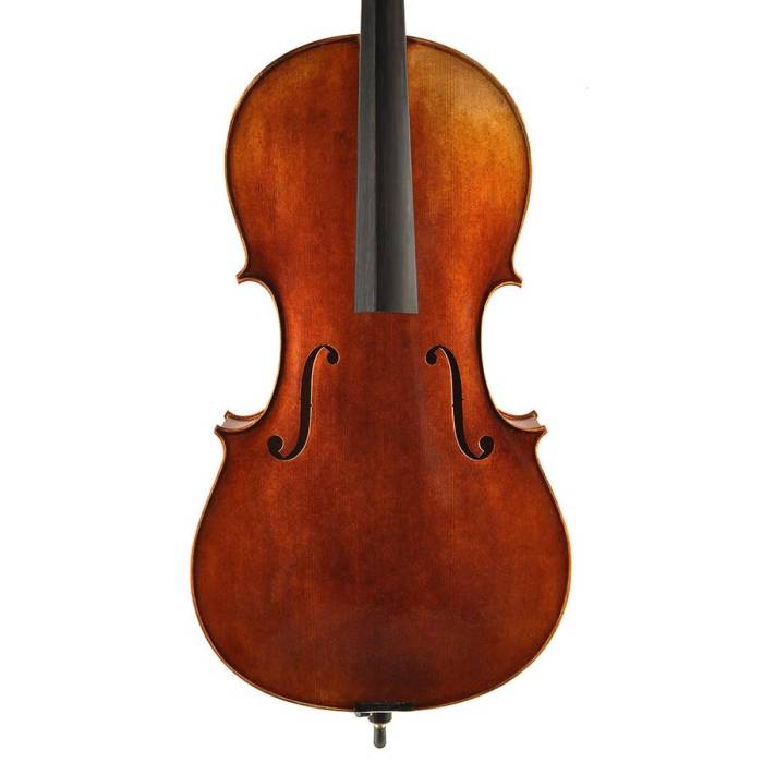 Violoncella: Rudolph RC-2044-A Violoncello 4/4 Violoncello 4/4 Rudolph RC-2044-A