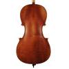 Violoncello 1/2 Scott Cao Student STC15012 - 2