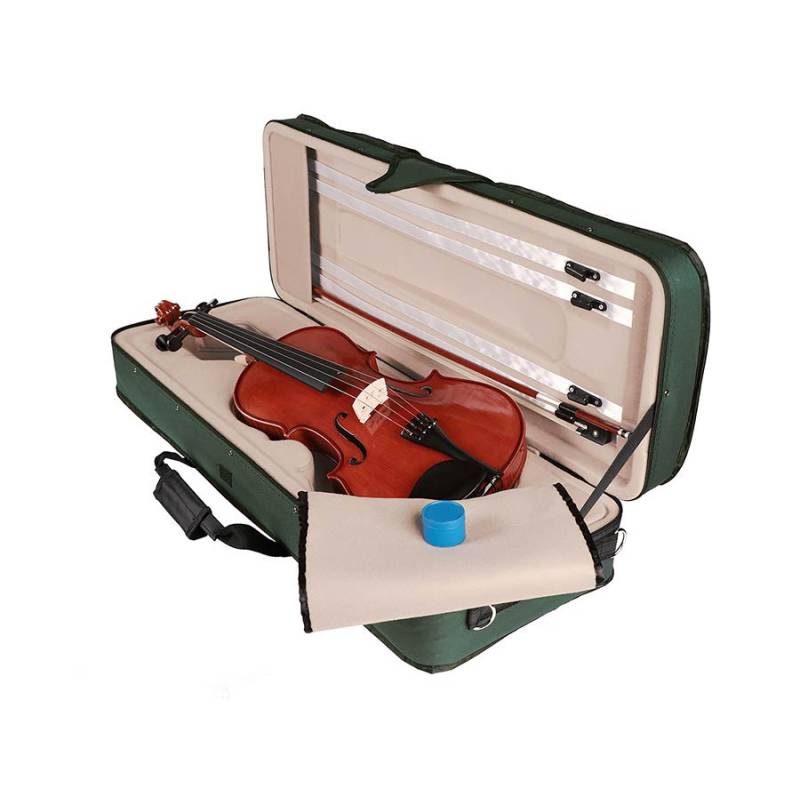 Viola 15.0