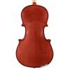 Viola 16.5
