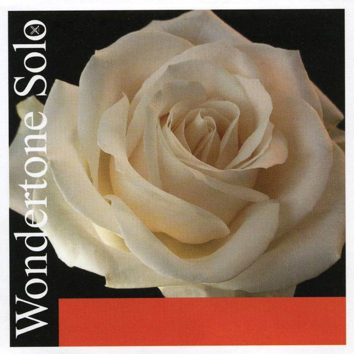 Struny na housle 4/4 sada Pirastro Wondertone Solo P410021