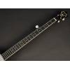 Folkové banjo Richwood Master RMB-405 - 13