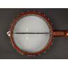 Folkové banjo Richwood Master RMB-405 - 10