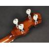 Tenorové banjo Richwood Master RMB-604 - 5