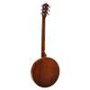 Kytarové banjo Richwood Master RMB-606 - 2