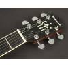 Kytarové banjo Richwood Master RMB-606 - 4