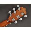 Kytarové banjo Richwood Master RMB-606 - 5