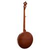 Folkové banjo + kufr Richwood Master RMB-905-SET - 3