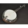 Folkové banjo + kufr Richwood Master RMB-905-SET - 4