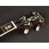 Folkové banjo + kufr Richwood Master RMB-905-SET - 5