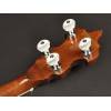 Folkové banjo + kufr Richwood Master RMB-905-SET - 6