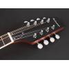 Banjo mandolína Richwood Master RMBM-408 - 3