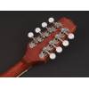 Banjo mandolína Richwood Master RMBM-408 - 4