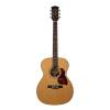 Akustická kytara auditorium OOO Richwood Master A-65-VA - 3