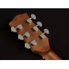 Akustická kytara auditorium OOO Richwood Master A-65-VA - 5