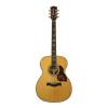Akustická kytara auditorium OOO Richwood Master A-70-EVA - 3