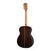 Akustická kytara auditorium OOO Richwood Master A-70-VA - 2
