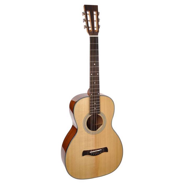 Parlor kytara Richwood Master P-40