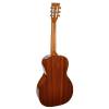Parlor kytara Richwood Master P-40 - 2