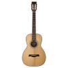 Parlor kytara Richwood Master P-40 - 3